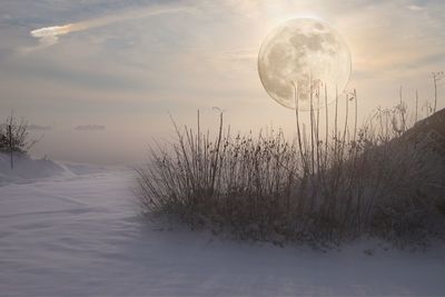 Scenic view of snow field against sky