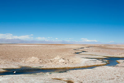 Scenic view of beach against clear blue sky