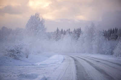 Snowy winter road landscape