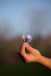 Close-up of hand holding flower