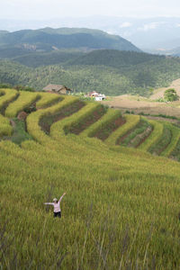 Scenic view of agricultural field