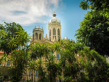 Low angle view of palm trees against sky