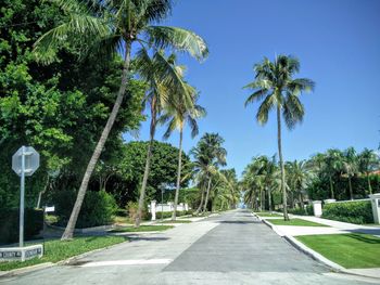 Road amidst trees against clear blue sky