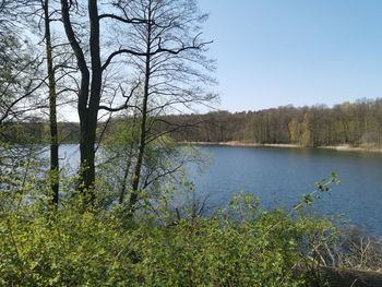 Scenic view of lake in forest against sky