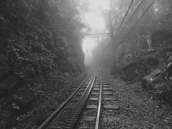 Railroad tracks amidst trees against sky