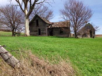 Barn on grassy field