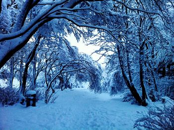 Scenic view of snow covered landscape