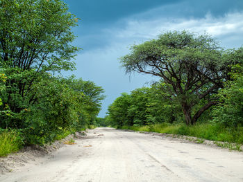 Road amidst trees against sky