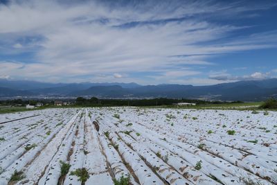 Panoramic view of field against sky