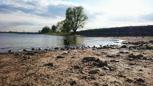 Scenic view of lake against cloudy sky