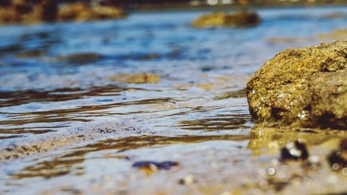 Close-up of wet rock on beach