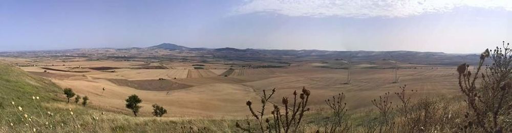 Panoramic shot of countryside landscape