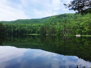 Scenic view of lake by trees against sky