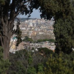 Building with trees in background