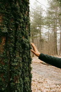 Hand of woman standing in forest touching a tree