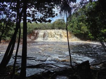 Scenic view of waterfall in forest