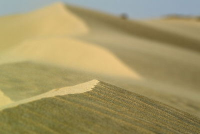 Close-up of sand dune