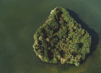 Aerial view of island