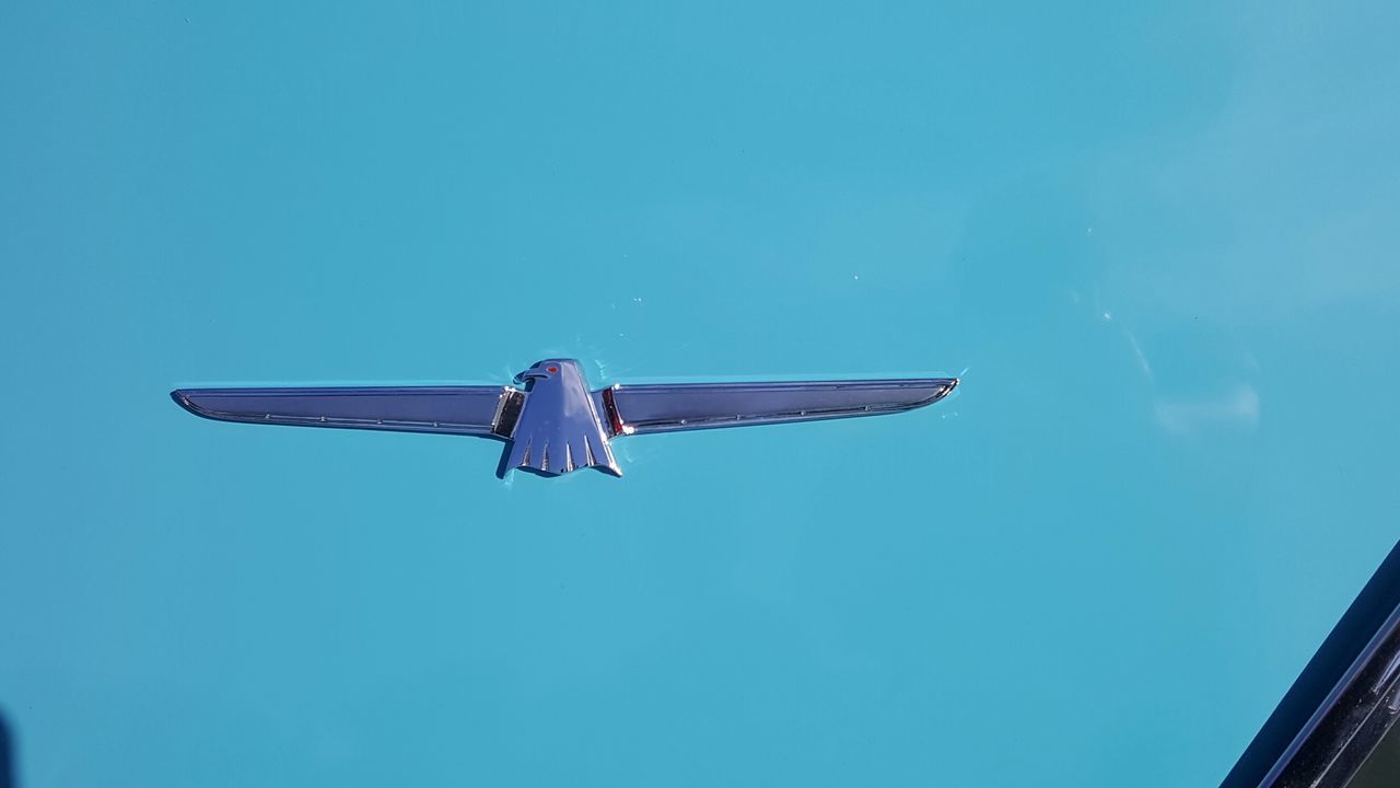 LOW ANGLE VIEW OF AIRPLANE FLYING IN SKY