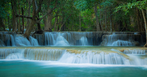 Scenic view of waterfall in forest