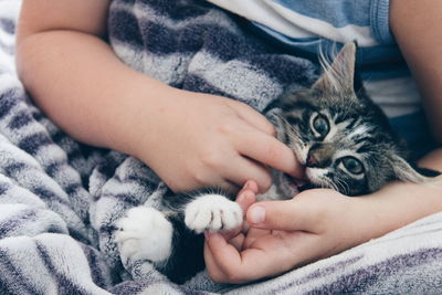 Close-up of baby hand holding kitten