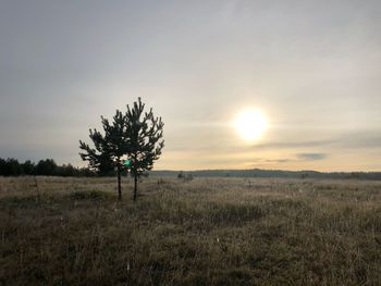 Scenic view of field against sky during sunset