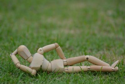 Close-up of stuffed toy on field