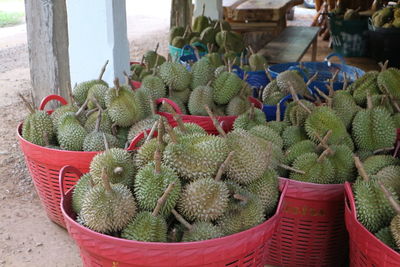 Close-up of vegetables for sale at market