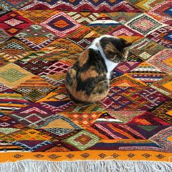 High angle view of cat relaxing on bed