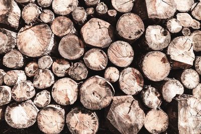 Full frame shot of logs in forest