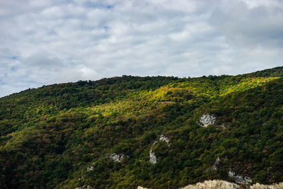 Caucasus mountain landscape in georgia, summer view