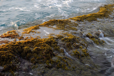 High angle view of rocks on beach