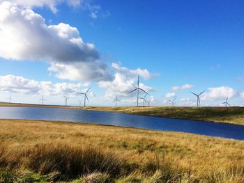 Whitelee windfarm