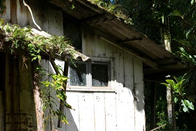 View of house with trees in background