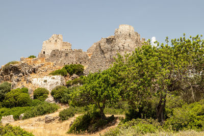 Trees and rocks against clear sky