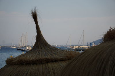 Sailboats in sea