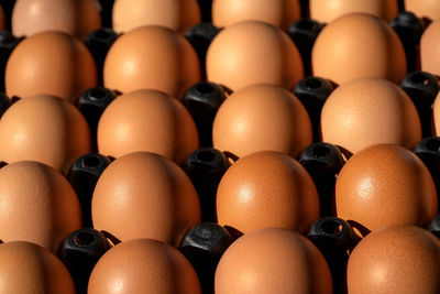 Full frame shot of eggs in carton