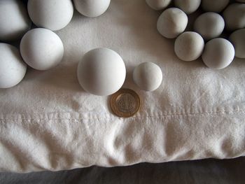 High angle view of eggs on table