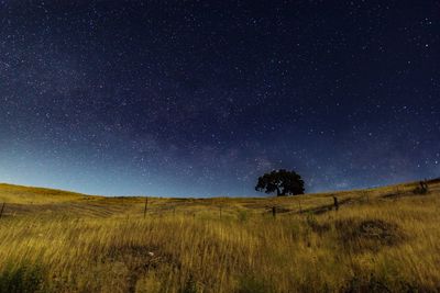 Scenic view of field against sky at night