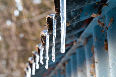 Ice candles protruding from a roof. cold wave and winter temperatures.