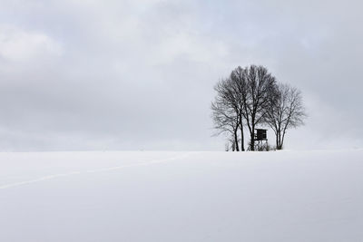 Bare tree on snow covered field against sky