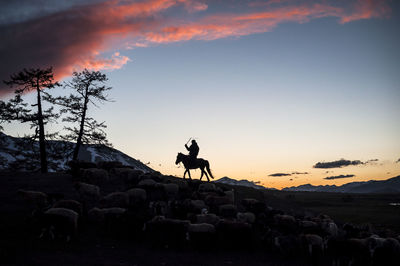 Silhouette farmer sitting on horse while grazing sheep against sky during sunset