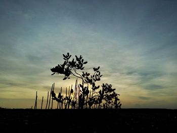 Silhouette tree by sea against sky during sunset