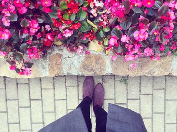 Low section of woman standing by plants on footpath