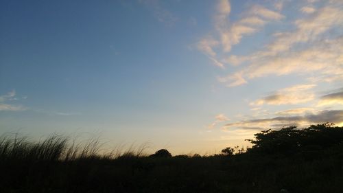 Silhouette trees on field against sky during sunset