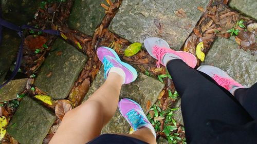 Low section of women standing by multi colored leaves