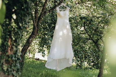 White flowers hanging on tree trunk