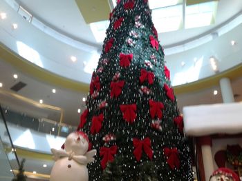 Low angle view of illuminated christmas tree