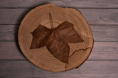 Directly above shot of dry leaves on wooden table