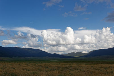 Scenic view of grassy landscape against sky